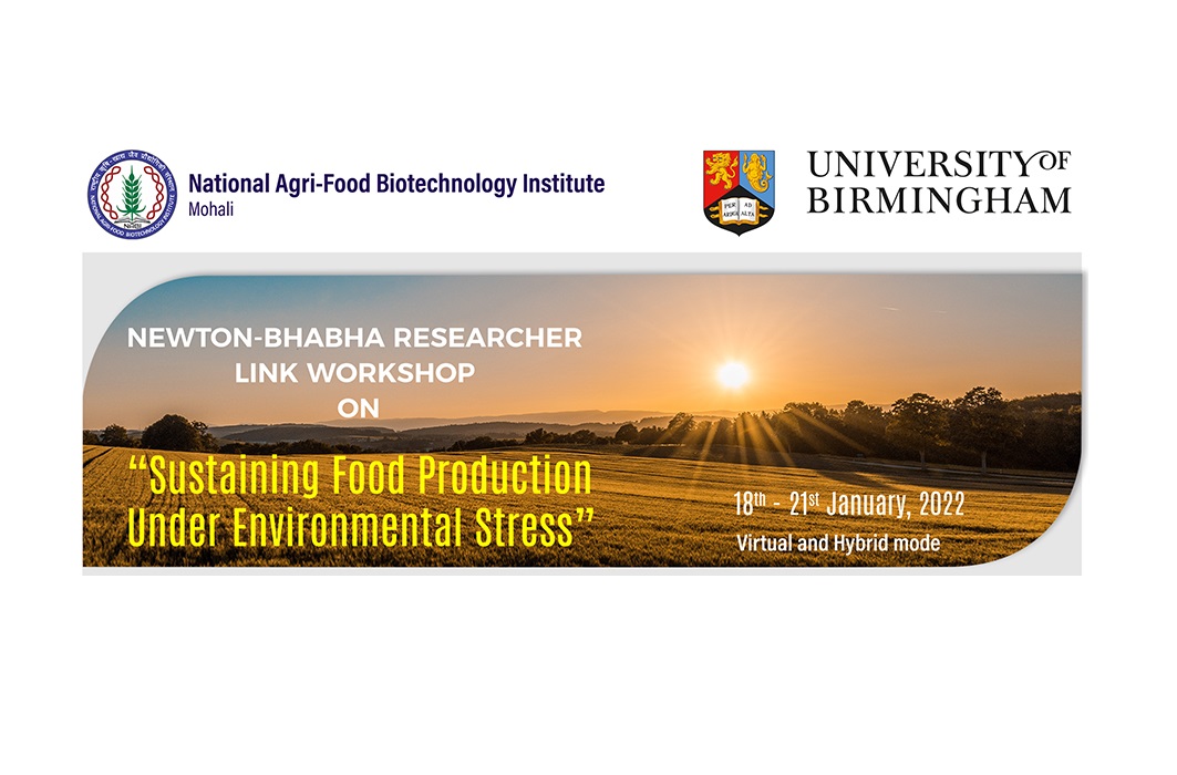 Newton Bhabha Fund Researcher workshop