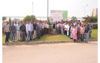 Tree Plantation Drive at NABI